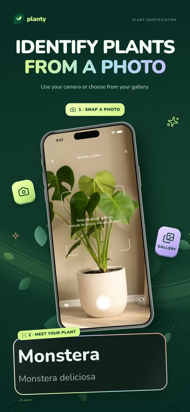Planty: Photo Plant Identifier — explore the app