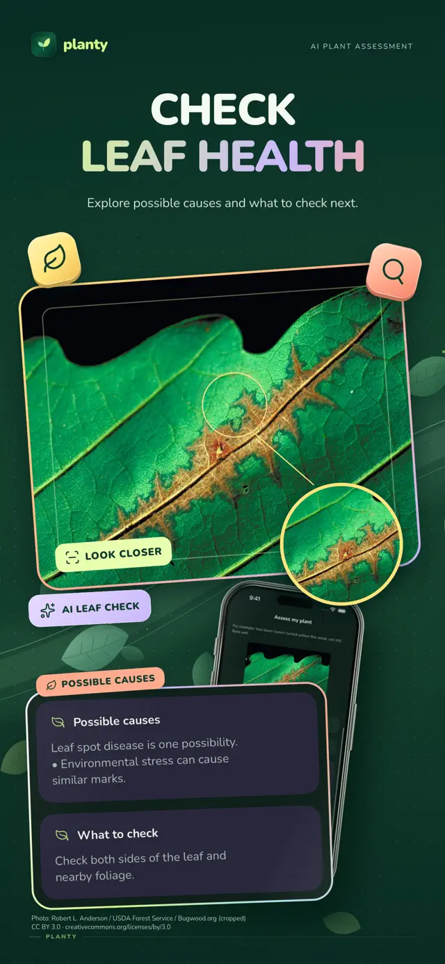 Planty: Photo Plant Identifier — App Store screenshot 2